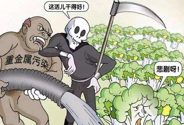 糧食安全如何得到保障？